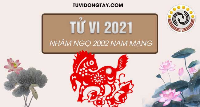 Luận giải tử vi tuổi Nhâm Ngọ năm 2021 nam mạng & Sự nghiệp học hành nam Nhâm Ngọ sẽ đi đến đâu? 