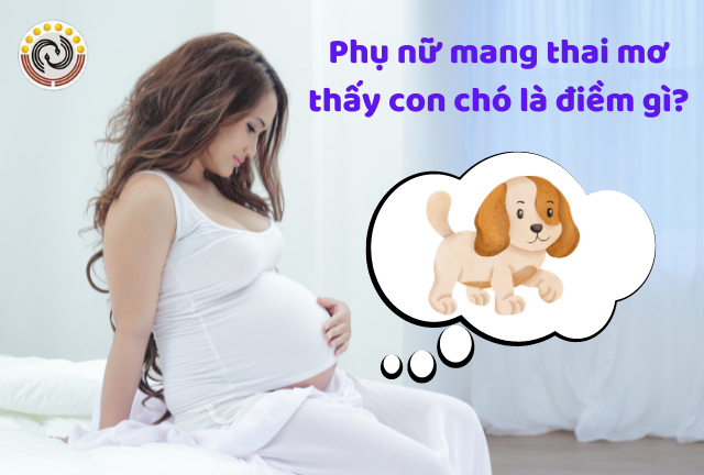 Phụ nữ mang thai mơ thấy con chó là điềm báo gì?