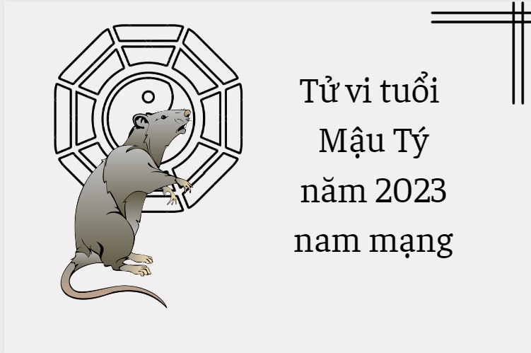 tu-vi-tuoi-mau-tu-nam-2023-nam-mang