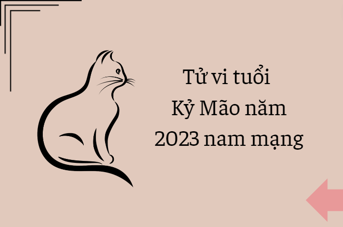 Xem tử vi 2021 tuổi KỶ MÃO sinh năm 1999 Nam Mạng NgayAm.com