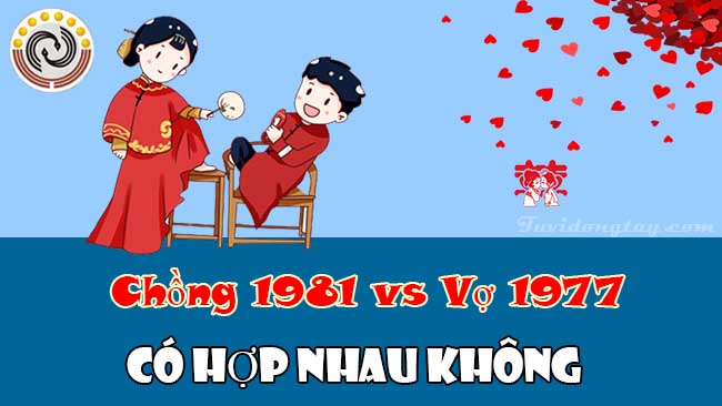 Luận giải chồng 1981 vợ 1977 có hợp nhau không? &Nên chọn hướng phòng ngủ như nào để cuộc sống vợ chồng hanh thông?